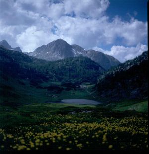 Klicken für grösseres Bild !