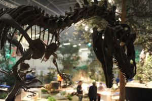 Foto: Mineralientage M�nchen