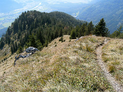 Anstieg Vold&ouml;pper