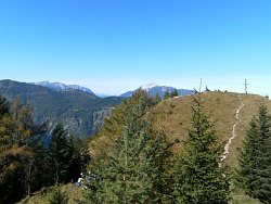 Vold&ouml;pper Spitzen