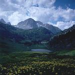 Klicken f�r gr�sseres Bild !